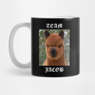 Team Jacob Mug